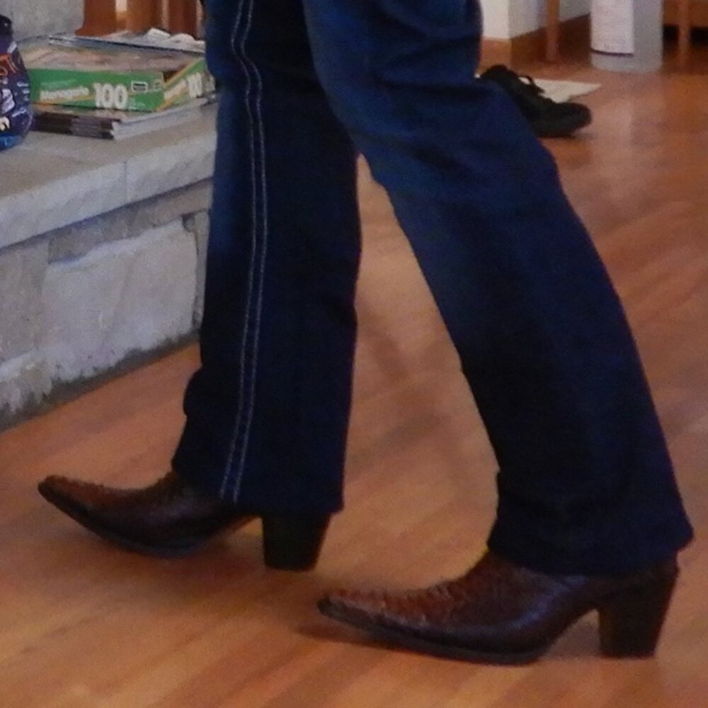 Circle G Genuine Python Western - image 5